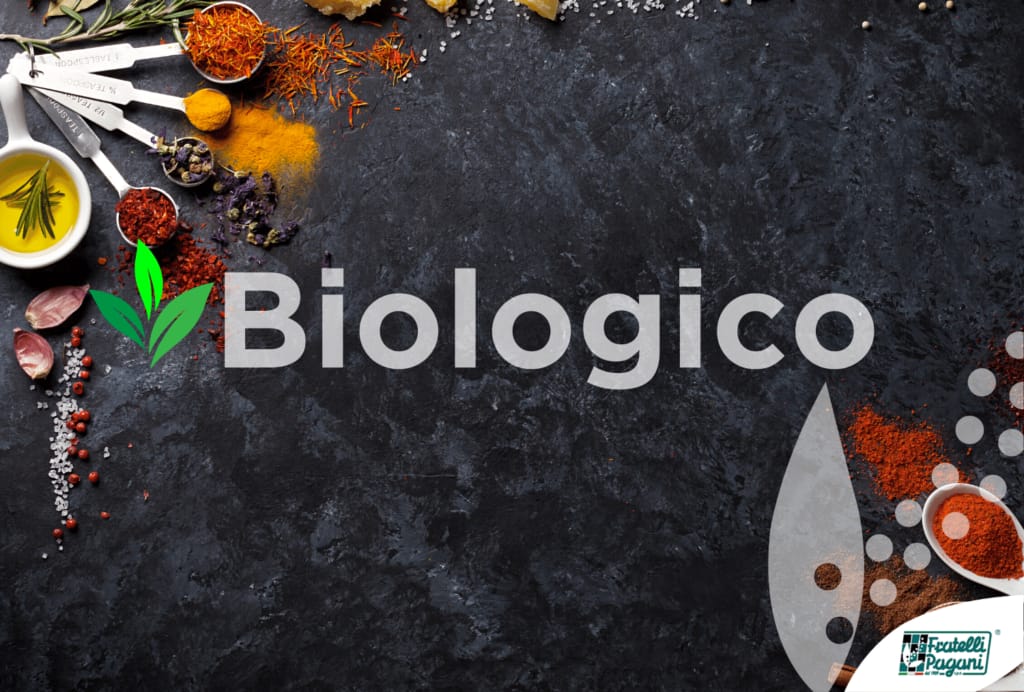 NEWS-BLOG-FP-NUOVO-SITO-1024x692